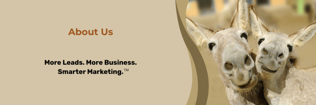About Us More Leads. More Business. Smarter Marketing.