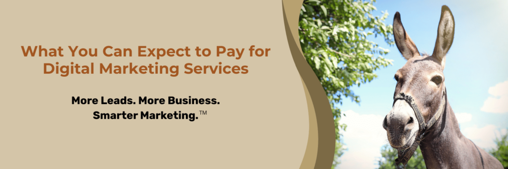 Digital Marketing Services Pricing