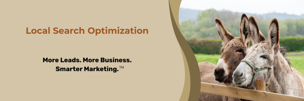 Local Search Optimization