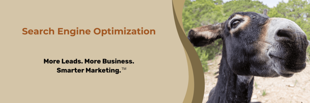Search Engine Optimization More Leads. More Business. Smarter Marketing.