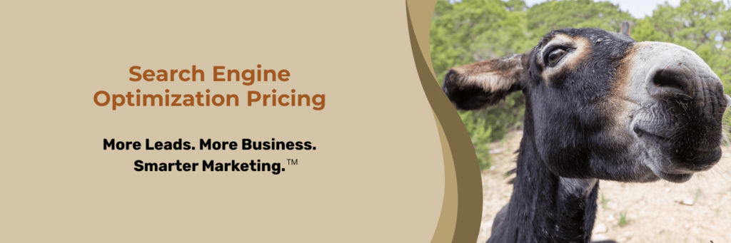 Search Engine Optimization Pricing