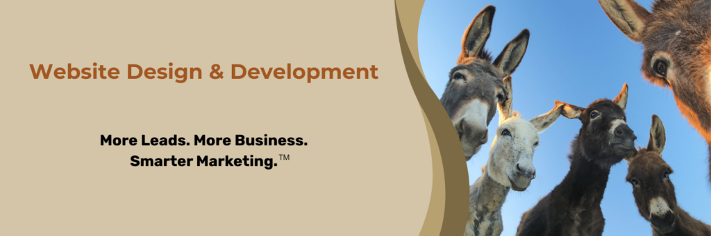 Website Design & Development More Leads. More Business. Smarter Marketing