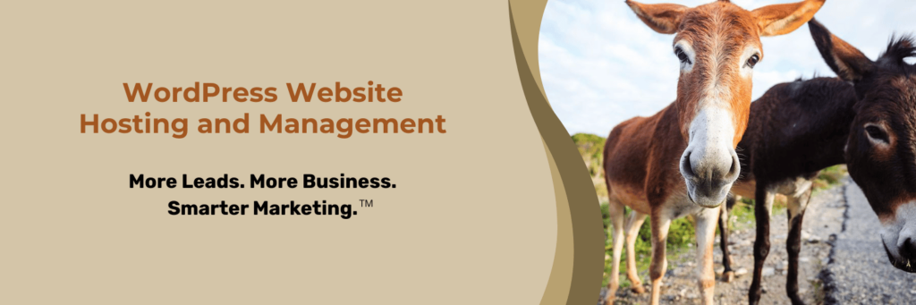 WordPress Website Hosting and Management